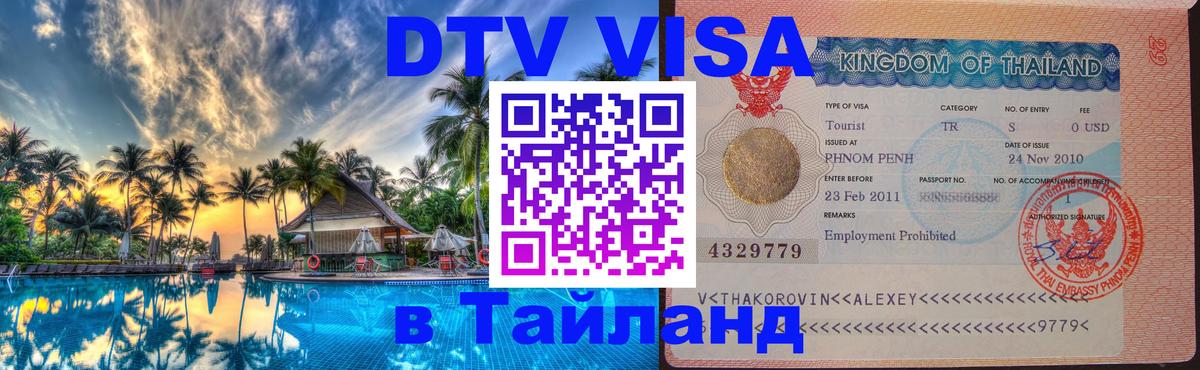 Сколько стоит DTV виза — актуальные цены, оформление даже без документов - Дамаск 